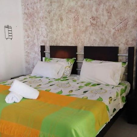Casa Amazilia 호텔 레티시아 외부 사진