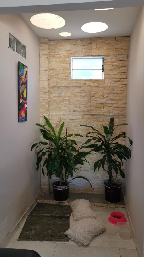 Casa Amazilia 호텔 레티시아 외부 사진